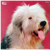 WDL-3044 Shaggy Dog